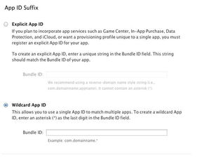 iOS軟件開發 如何調整電腦環境以適配真機測試及計算機軟件開發與維修