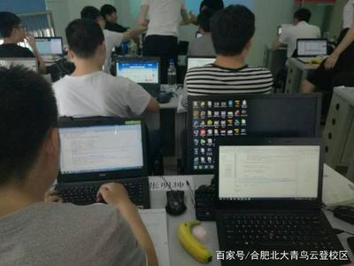 汽車維修與計算機軟件開發 哪個職業前景更廣闊？